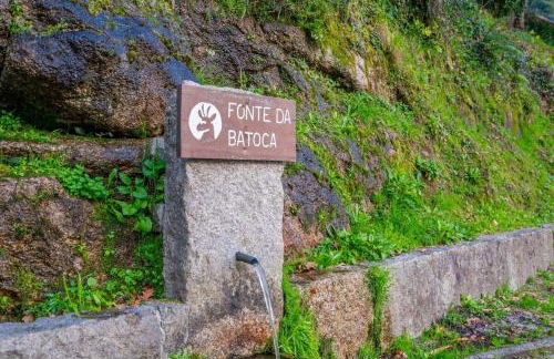 Tulipa do Gêres - Foto 16