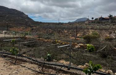 Tantulia la casita del Caballo - Foto 22