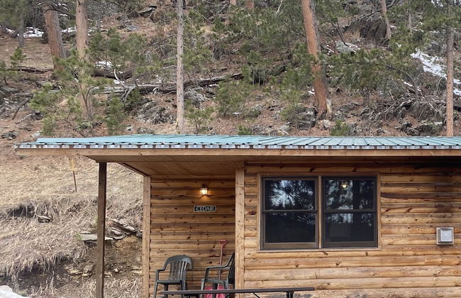 Pine Rest Cabins - Foto 67