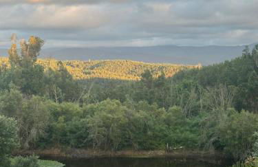 Quinta Do Pereiro - Foto 21