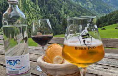 Val di Sole - Pejo1400 tylko 3 minuty od wyciągu - Foto 22