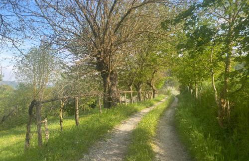 Gamberotti private valley - Foto 7