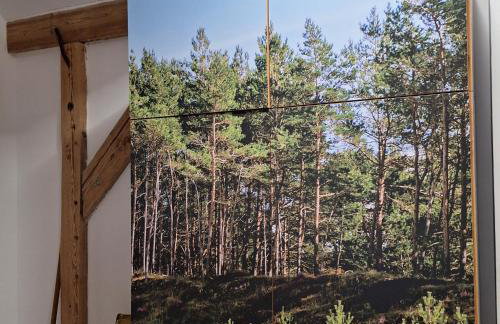 Sielanka Wydmy i Las - Foto 80