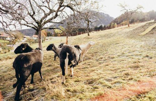 Ferienhaus WANDL mit Sauna und Fitness Studio - Foto 11