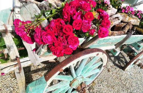 Agriturismo Malvista - Foto 47