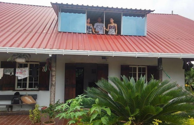 Bosquefrut - Foto 13