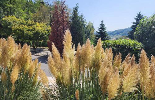 Villa Spa Magic - Foto 49