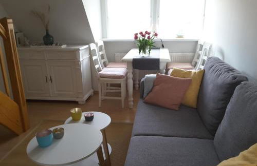 Seepferdchen - Foto 6