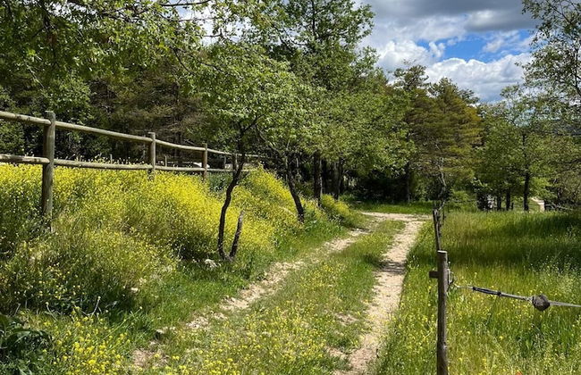 Domaine du Cruvelet - Foto 17