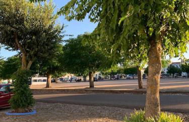 Casa dos Pécoxinhos - Photo 66