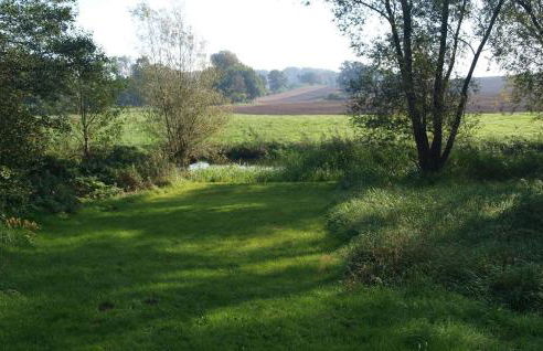 Lovely Home In Sagsdorf - Foto 10