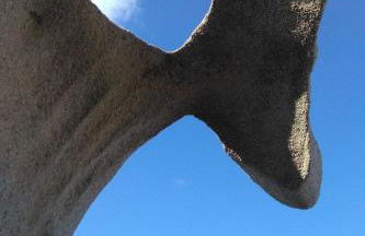 Holiday Home Stazzo mit Garten in Luogosanto by Interhome - Foto 37