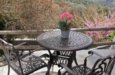 Flower house - Foto 33