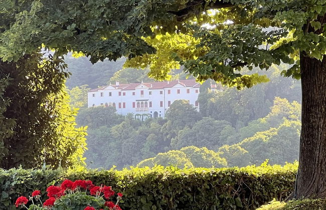 Stunning 6-bed Private Villa With Pool Near Venice - Foto 31