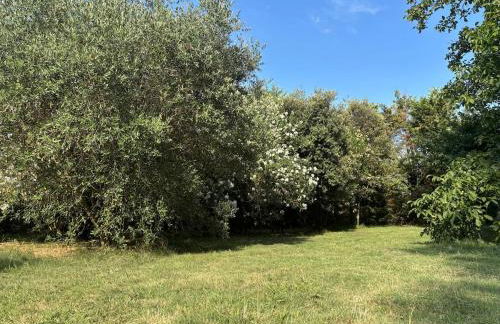 Gite dans ancien moulin - Foto 31