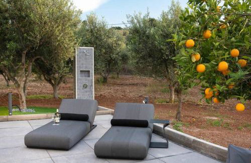 Orange Tree - Foto 31