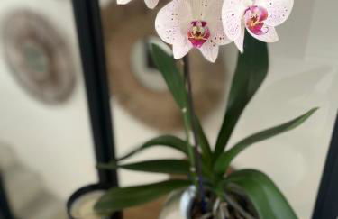 Maison de village rénovée ! - Photo 70