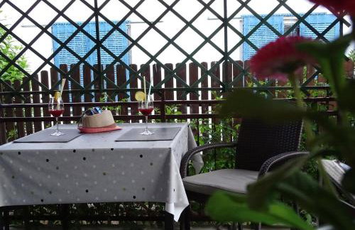 App Sorgo - Photo 32