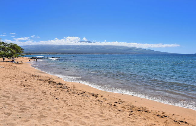 Maalaea Banyans 203 - Foto 41