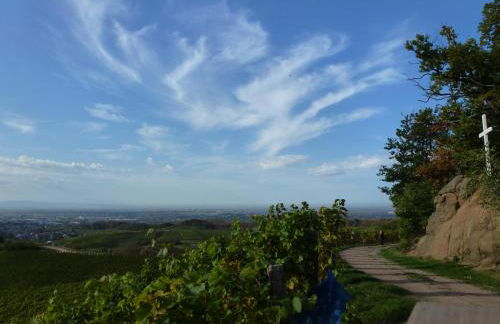 Baumanns Landhaus Durbach - Foto 58