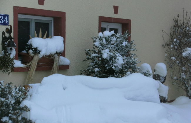 Apartment With Animal zoo and sun Terrace - Foto 17