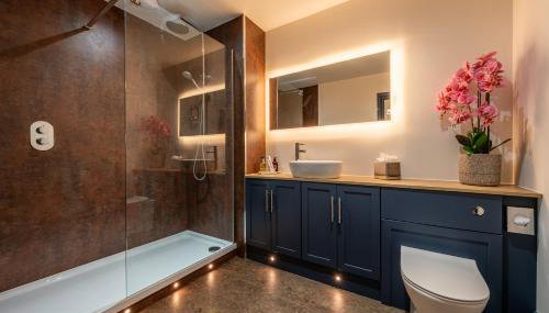 The Old Lyric Hall - A St David Aparthotel - Foto 3, Shower