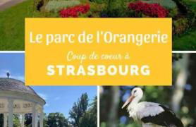 Bubble Home Relaxation and Modernity in Strasbourg - Foto 33