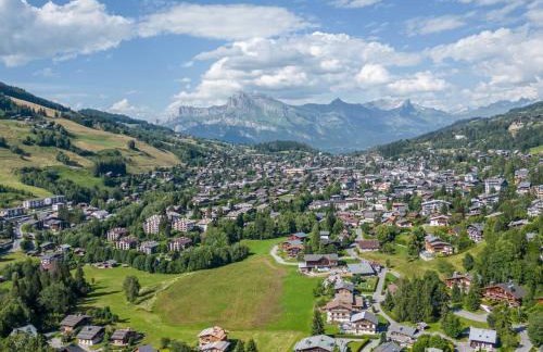 Charmant appartement au Mont d'Arbois proche pistes, parking inclus - FR-1-569-11 - Foto 15