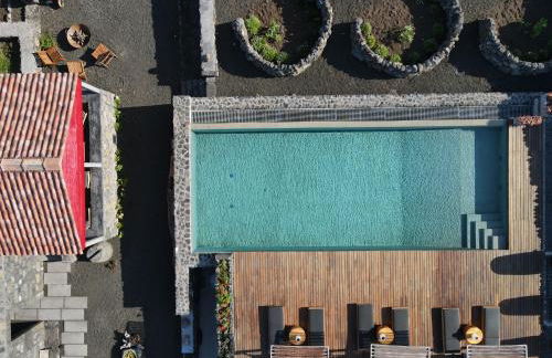 Adega do Fogo - Photo 21