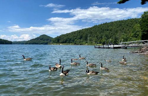 Enchanting Cabin with Breathtaking Sunset and Lake Views in North Carolina - Photo 24