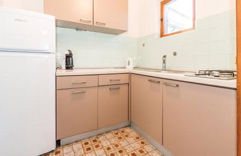 Oleander adria - Foto 11