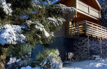 Chalet bois au calme, en lisière de forêt, balcons, sentiers balades Gérardmer & Alsace "Chalet Mon beau sapin" - Foto 71