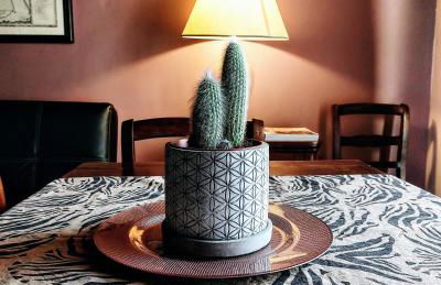 Les Maisons des Fleurs - Foto 12