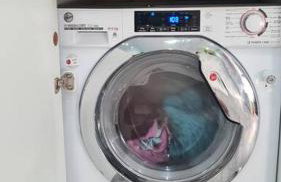 Luxury studio with parking whole unit to yourself - Photo 9