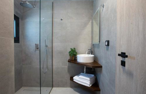 SEASCAPE VILLAS VASSILIKI - Beachfront villas - Foto 55