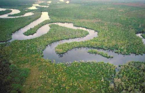 Upcycled Shipping Containers Transformed into a Glamping Home for a Unique Florida Vacation - Foto 43