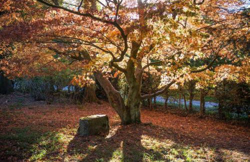 Altes Forstamt im Teutoburger Wald-Fewo Hofgarten - Foto 47
