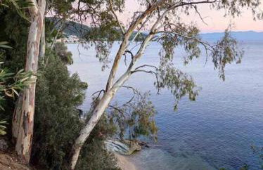 Marilia Home - Foto 28