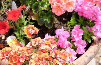 The Kiln - Historic 3Br Cottage in Dartmoor - Foto 25