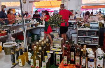 Cannes President vue mer, festival, quartier forville le Suquet - Foto 38