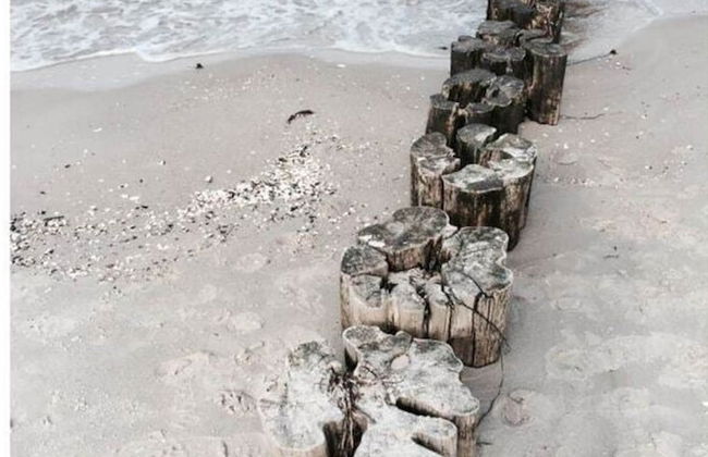 Boddensurfer 4a - Foto 19