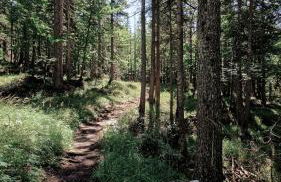 Casa Caliman - Foto 21