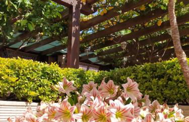 Villa Elvira - Foto 38