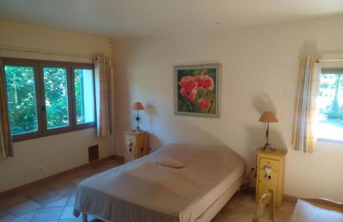 Lou Vergié Maison Provencale au pied du Luberon - Foto 17