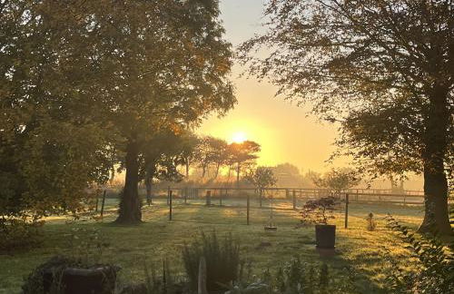 Ferienhof Reimers - Foto 19