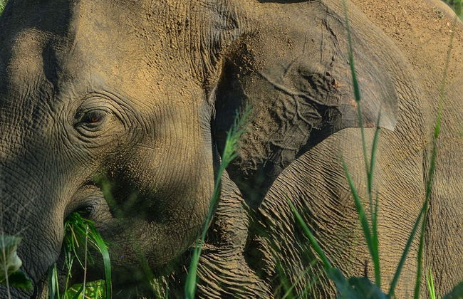 Safari privé dans le parc écologique d'Hurulu - Photo 1