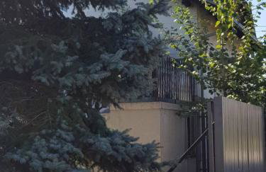 Studio apartman Gradna - Foto 18