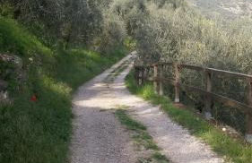 La casa di Sabrina - Foto 23