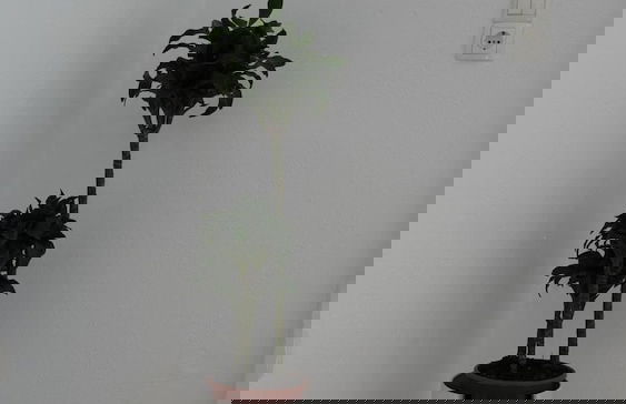 Pittas Studios Kardamena 300 Meters From the Beach - Foto 11