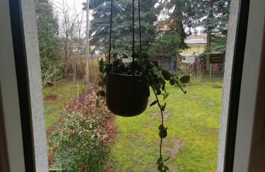 Ferienhaus Fuxbau - Foto 72